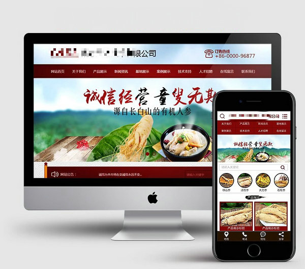 中醫(yī)藥網站建設